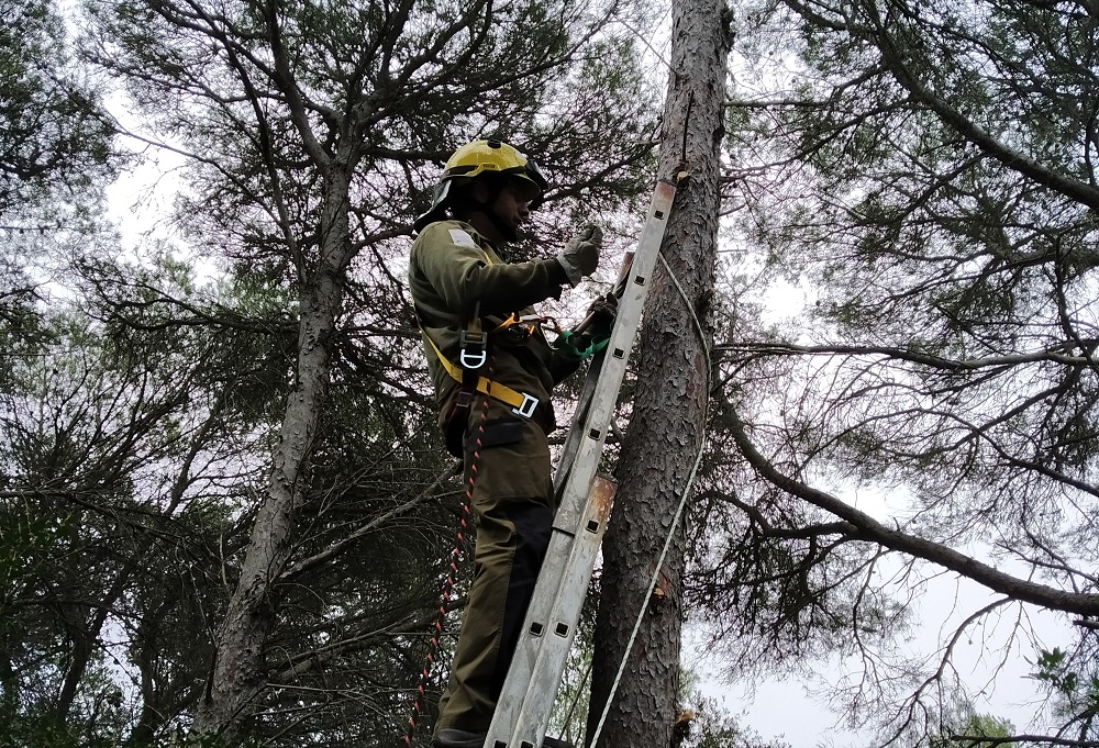 S'Albufera des Grau fomenta el control natural de plagas forestales con la instalación de cajas nidos para murciélagos