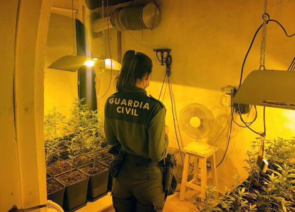 La Guardia Civil y la Policía Local de Santa Eulalia, desmantelan una plantación de marihuana indoor instalada en una vivienda ocupada