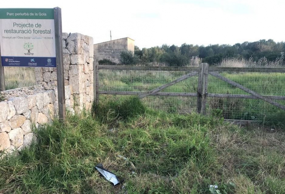 Pollença reclama al Govern balear “mejoras urgentes” y “cogestión” en La Gola