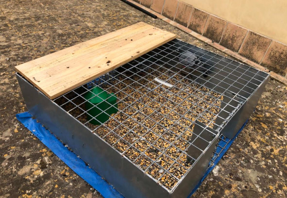 Santanyí instala jaulas en diferentes puntos
del municipio para poner fin a la plaga de palomas