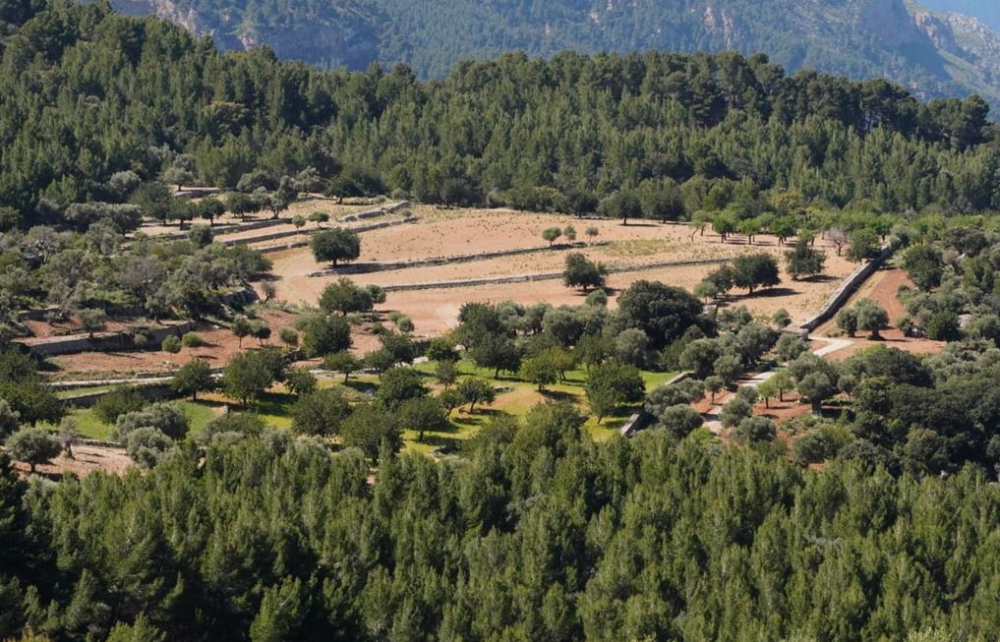 Planícia recupera más de 28 hectáreas para uso agrícola desde que es de titularidad pública