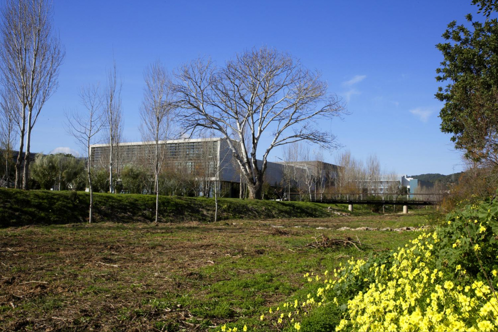 El Govern elaborará el Plan de Atracción de Empresas y Talento para potenciar el Parc Bit