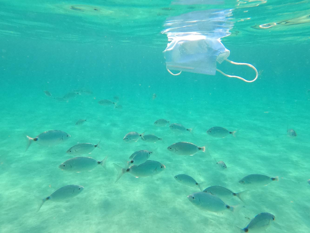 La edición de este año de Let’s Clean Up Europe amplía los plazos para realizar acciones de concienciación ambiental