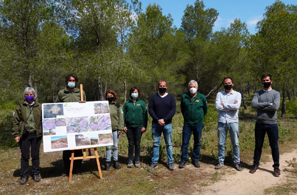 El Impuesto de Turismo Sostenible propicia la adaptación a la emergencia climática de 54 hectáreas de bosque público