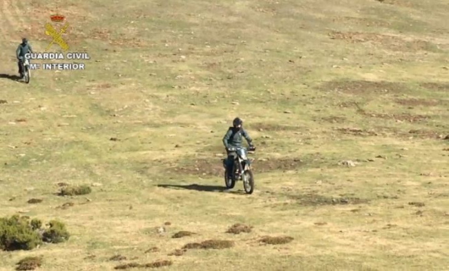 La Guardia Civil ha investigado más de 3900 delitos contra el medio ambiente durante el 2020