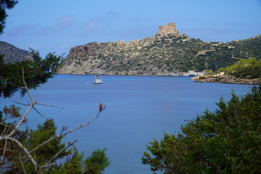 Oceana pide al Govern Balear más protección para la biodiversidad marina del Parque Nacional de Cabrera