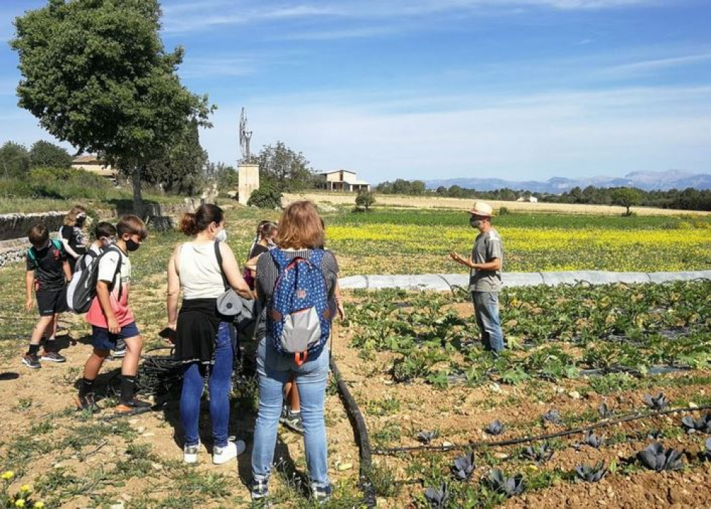 Soberanía Alimentaria retoma las visitas escolares de promoción agroalimentaria