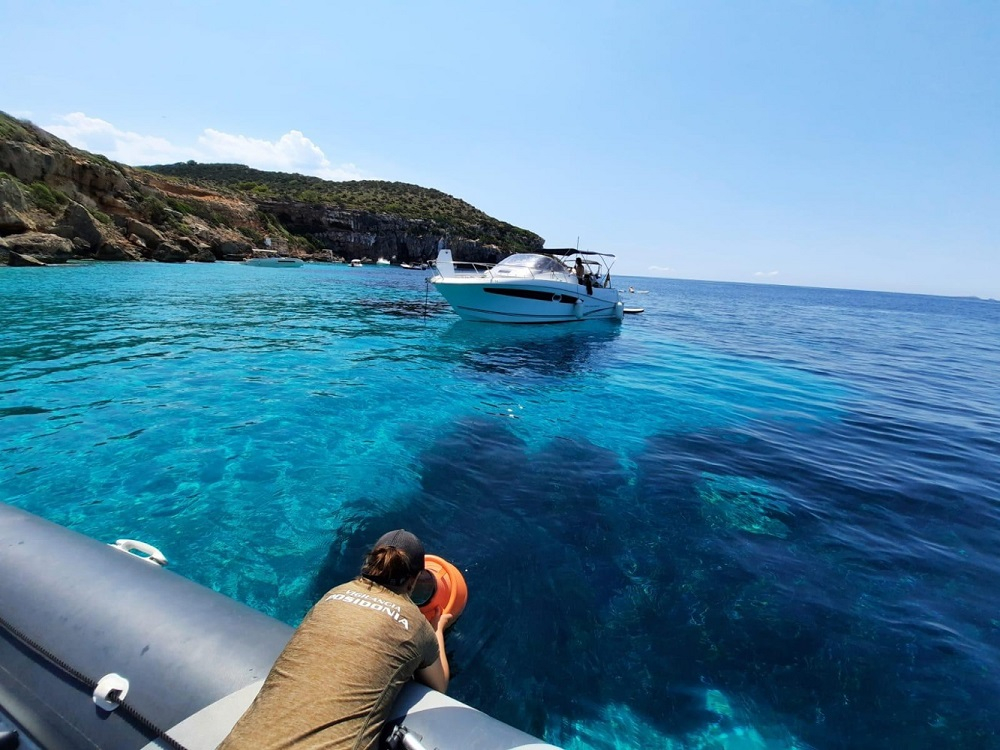 El Servicio de vigilancia de la posidonia inicia en las Pitiüses la quinta temporada