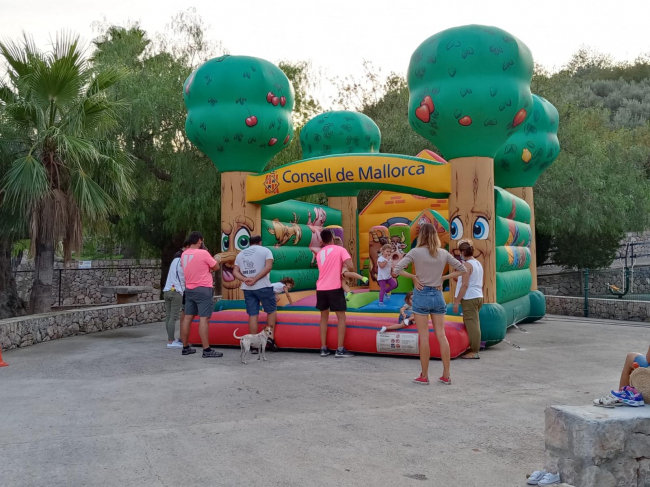 El Consell pone a disposición de las entidades juveniles de Mallorca 240.000 euros en subvenciones