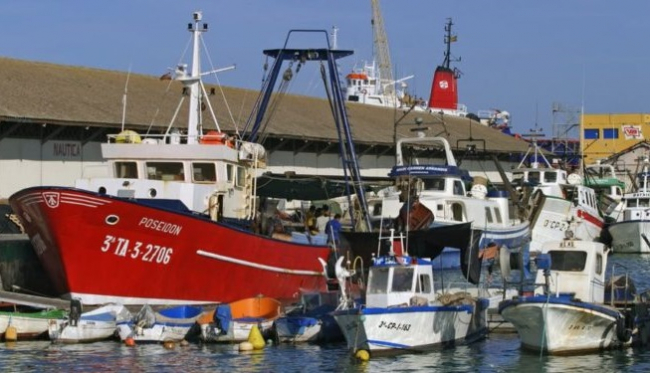 Oceana pide medidas urgentes y menos compromisos políticos para la protección de la pesca y los océanos