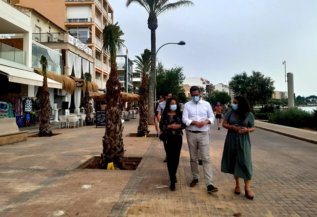 Inician la siembra de 400 palmeras en Playa de Palma