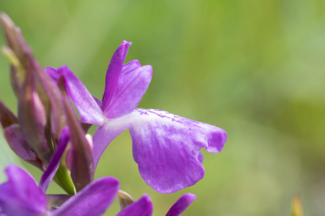 El Bioatles actualiza el mapa y lo adapta a la normativa europea Inspire