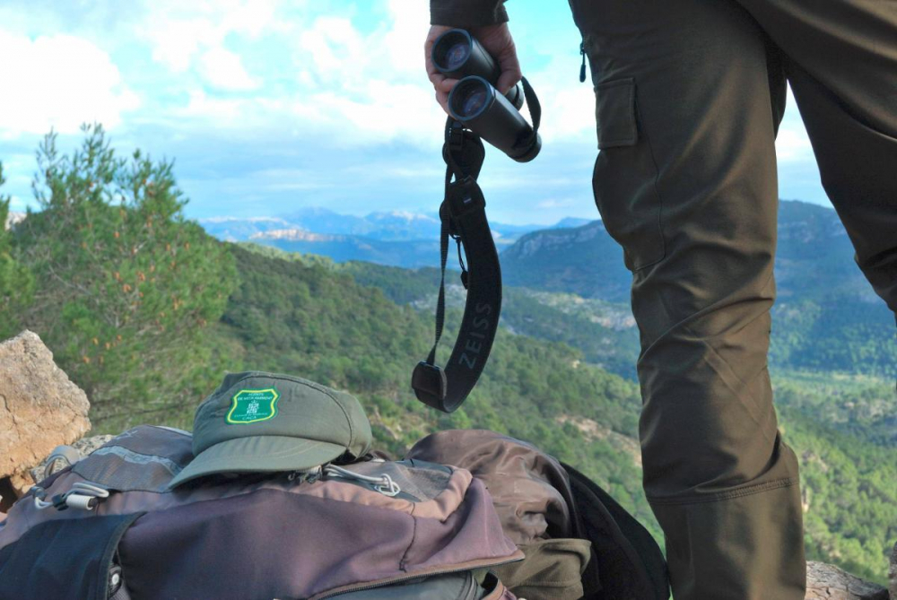 186 sanciones por infracciones de la ley de caza entre 2017 y 2020 en Mallorca