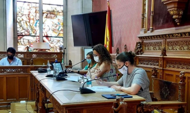 El pleno del Consell aprueba la interpretación del contrato con Mac Insular