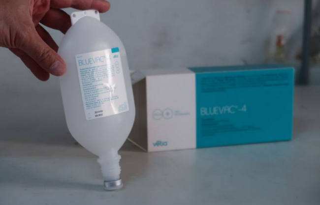 Baleares recibe las 500.000 dosis de la vacuna de la lengua azul