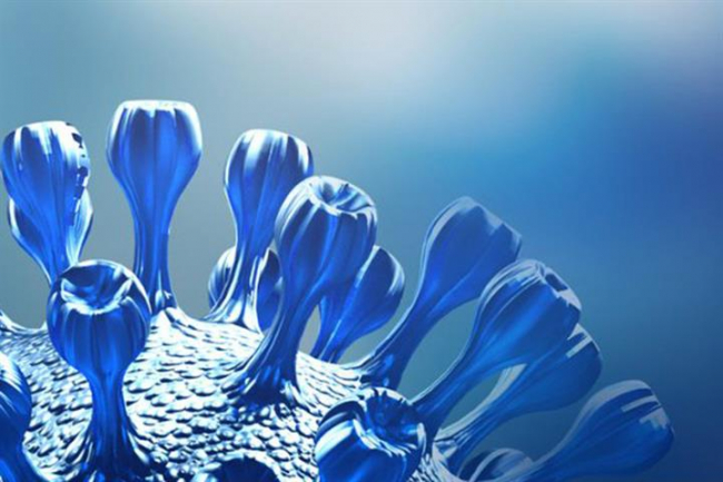 Autorizan los ensayos en humanos de la primera vacuna española contra el COVID