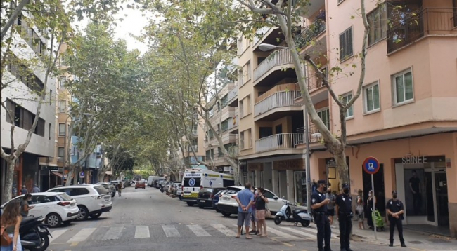 PP: Hila no ha justificado la tala de ocho árboles en Nuredduna