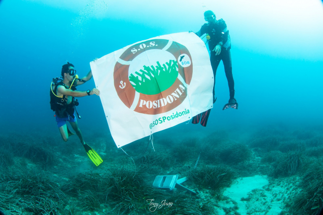 El GOB documenta en el Port de Sóller los impactos más relevantes que sufre la posidonia en Baleares