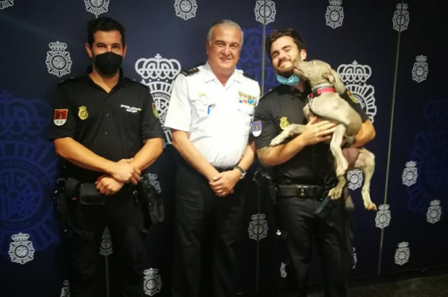 La Policía Nacional de Palma incorpora a su unidad de Guías Caninos una nueva perrita