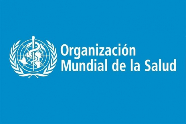España entra a formar parte del Comité Permanente de la OMS para Europa