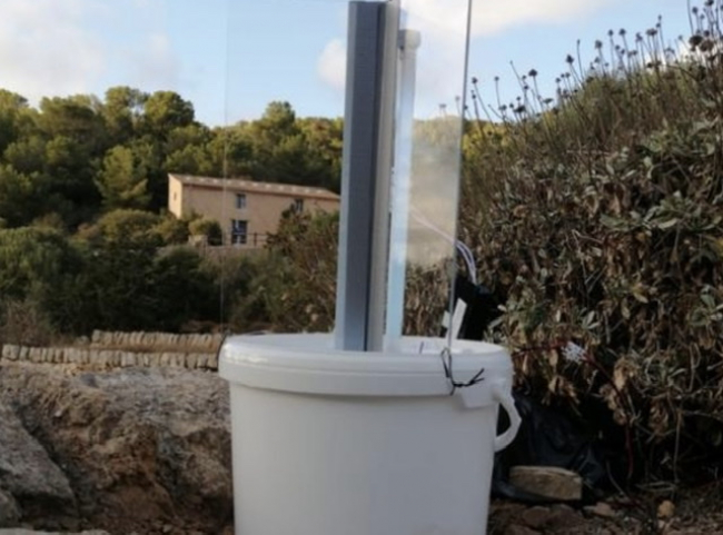 Sanidad Forestal desarrolla actuaciones de control biológico de la polilla del boj en el Parque Nacional de Cabrera