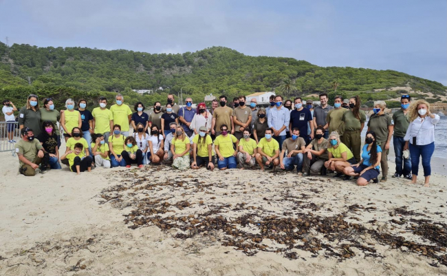 Liberadas en el Parque Natural de Ses Salines quince tortugas marinas nacidas en Eivissa el septiembre de 2020