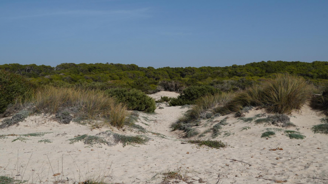 Medio Ambiente inicia una consulta pública previa a la elaboración del Plan de Gestión Natura 2000 Costa Sur de Mallorca