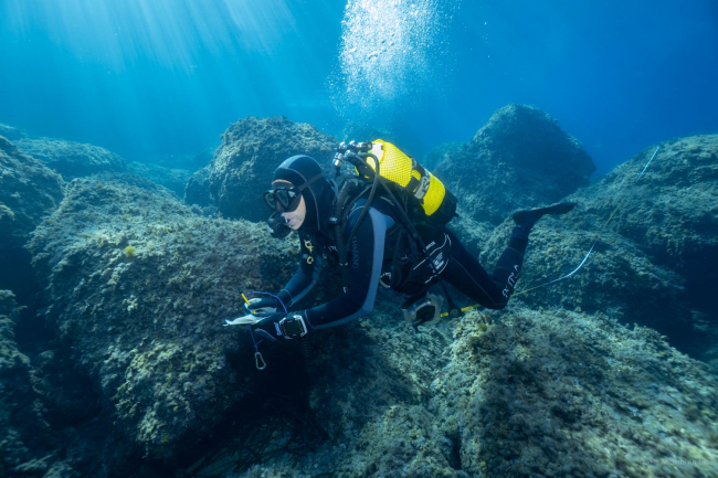 El proyecto de censos visuales de pescados vulnerables realiza 19 informes de 7 reservas marinas de Baleares