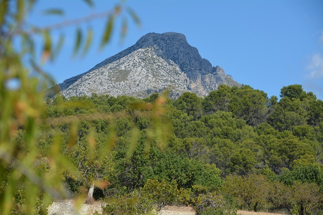 La finca de Galatzó pasará a formar parte del catálogo de montes de utilidad pública