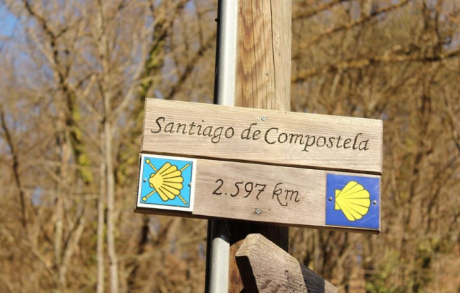 ¿Cómo tener unas vacaciones increíbles junto a la familia?