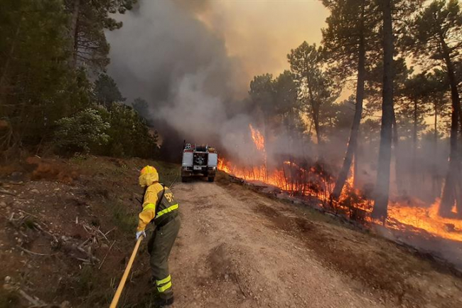 El Gobierno aprueba ayudas para paliar los daños de los incendios forestales de este verano