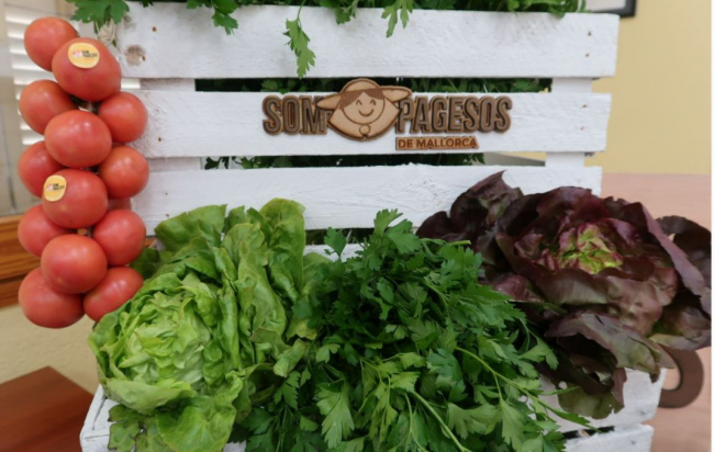 Agricultura apoya a ‘Som pagesos de Mallorca’, una marca de garantía que distingue la fruta y la hortaliza de la isla