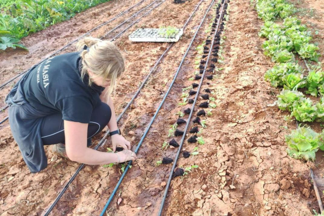 MÉS per Mallorca apoya al “Pacto por la Pagesia” propuesto por las organizaciones agrarias