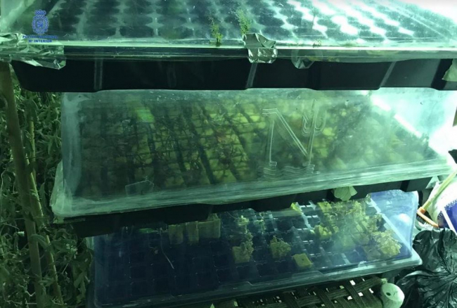 La Policía Nacional detiene a otro responsable de una operación contra el tráfico de drogas en Ibiza