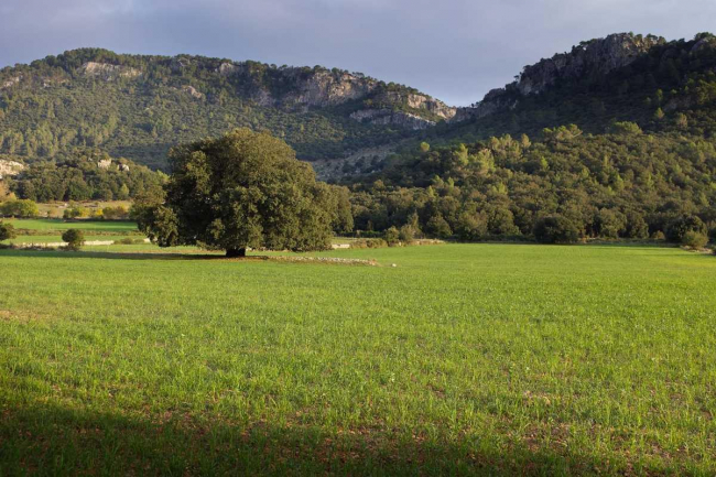 GOB advierte que la nueva Ley Agrícola abre la puerta a una nueva ola de especulaciones en terrenos rústicos