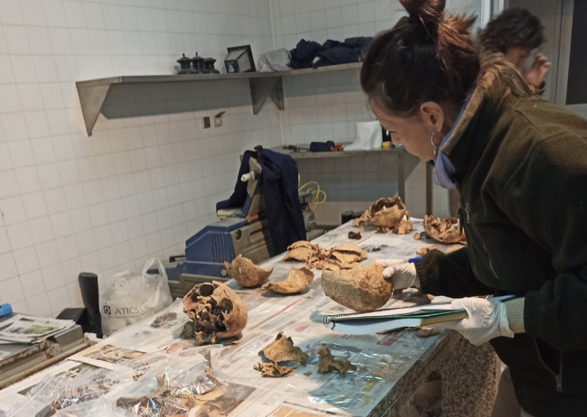 Confirmadas 11 víctimas de la Guerra Civil entre los restos analizados hasta ahora en la segunda fase de excavaciones de Son Coletes