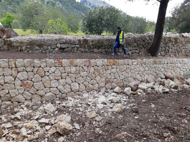 Sostenibilidad y Medio Ambiente incrementa su presupuesto para el año 2022