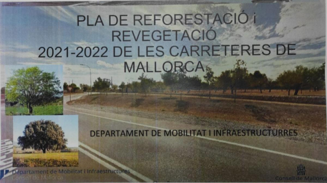 Inician la reforestación de los entornos de las carreteras con la plantación de 600 árboles