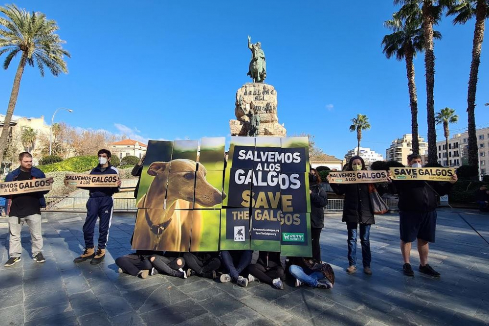 Activistas se dan cita en Palma de Mallorca para defender a los galgos