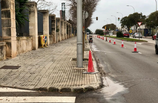 Renuevan las aceras y alcorques situados frente las instalaciones deportivas de Son Moix