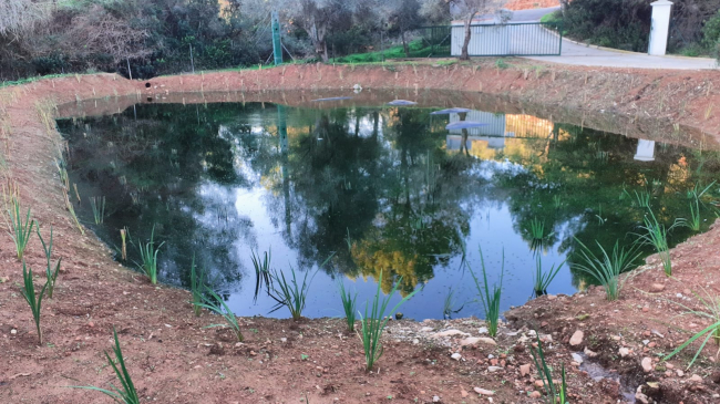 La Agencia Balear del Agua recupera la laguna de la depuradora de Sant Joan de Labritja como refugio para la biodiversidad