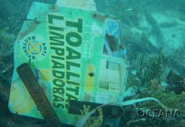 Oceana pide contundencia al Senado contra los plásticos de un solo uso