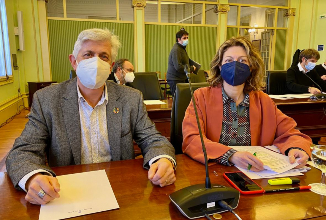 El Parlament, a propuesta socialista, muestra su apoyo a la reforma laboral 