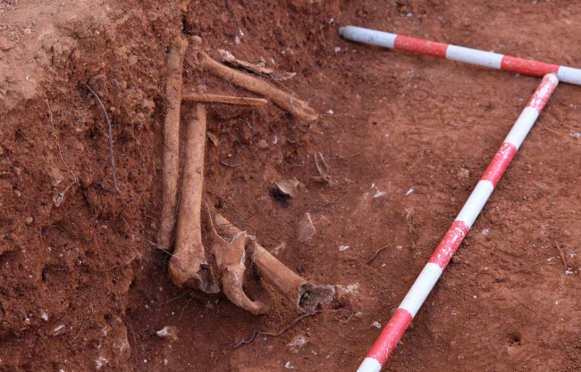 El Govern inicia la tercera fase de exhumación de Ses Figueretes (Ibiza) 