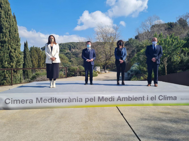 Las Illes Balears, Cataluya y la Comunitat Valenciana reclamarán al Estado que limite la velocidad en el Corredor de Cetáceos del Mediterráneo
