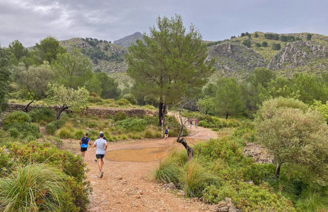 La carrera por montaña GalatzóTrail celebra su quinta edición en Calvià con lleno absoluto en media distancia