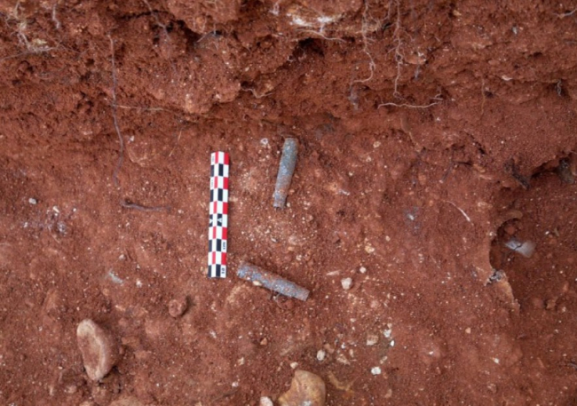 Restos de cráneo con fracturas perimortem y casquillos de la época en la exhumación del cementerio de Ses Figueretes (Ibiza)