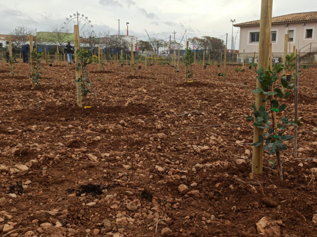 Agricultores y ganaderos pueden acogerse a las reducciones recogidas en el real decreto-ley por la sequía