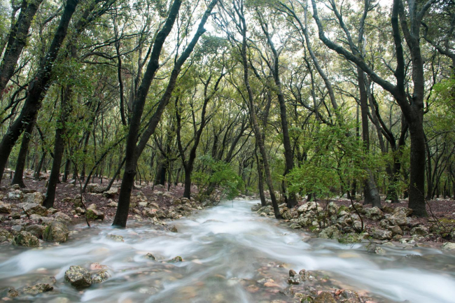 El proyecto LIFE+ WAT’SAVEREUSE se suma al Día Mundial del agua 
