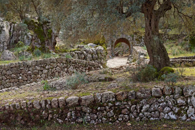 El PP de Mallorca defiende que la futura ley de la Serra garantiza la protección del territorio y su viabilidad